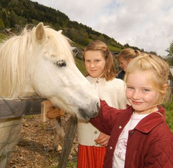 Tiere am Bauernhof